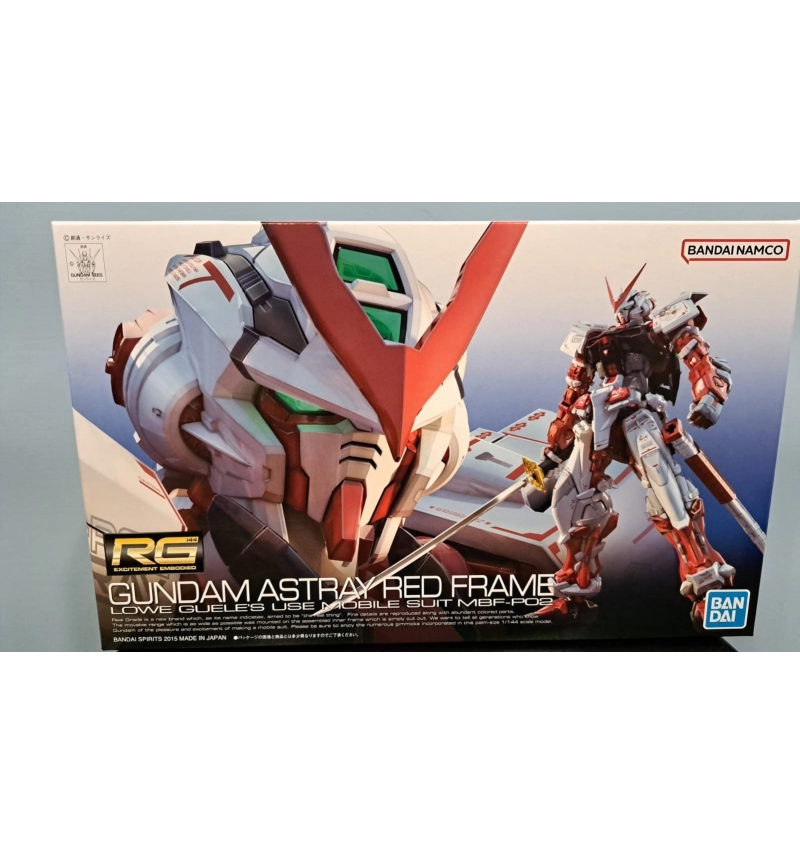 RG MBF-P02 紅異端鋼彈 #19