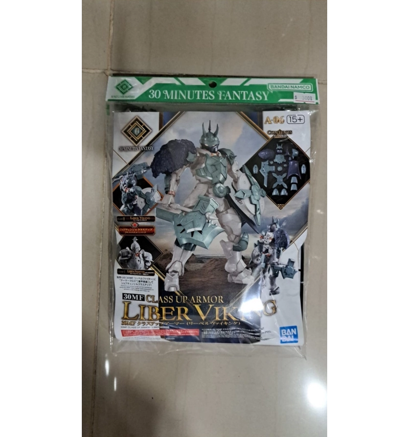 30MF 升級鎧甲 里博維京 #06