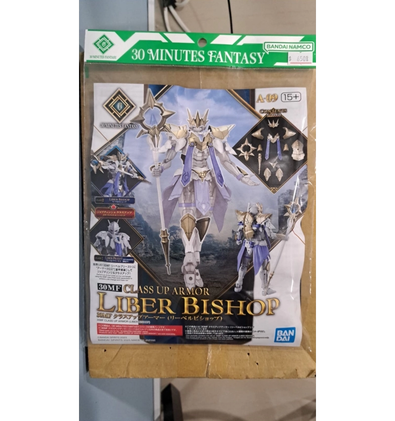 30MF 升級裝甲 Liber Bishop