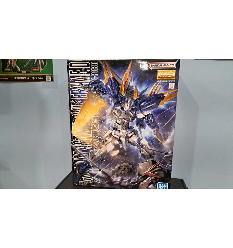 MG 異端鋼彈藍色機D