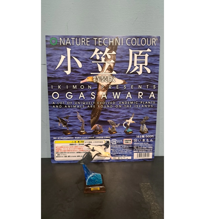 NTC圖鑑 小笠原特裝版整套