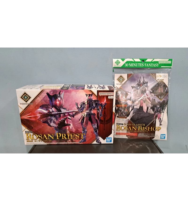 30MF #006洛桑祭司 + #010升級盔甲（洛桑主教）